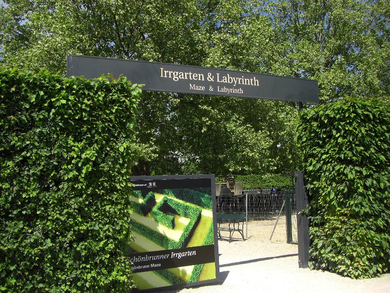 CIMG0208.JPG - The hedge maze.