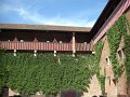 CIMG0021