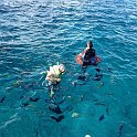 IMG_0176