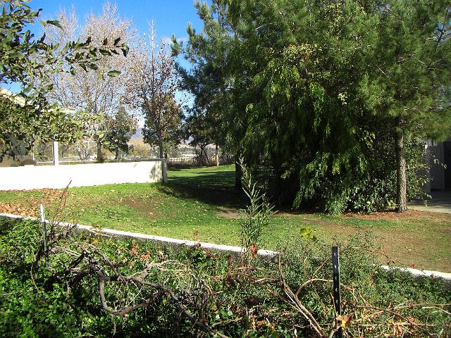 CIMG0176.JPG - View from backyard at 12th green on Sun Lakes Executive Golf Course