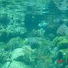 074xcaquarium