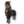 Miniature Zhed.png