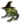 The Frog (Halloween).png