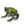 The Frog (miniature).png